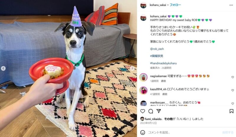 堺小春の愛犬