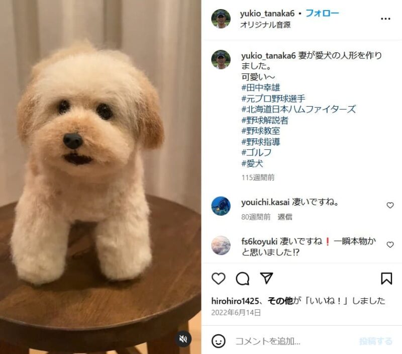 田中幸雄の妻が作った愛犬の人形