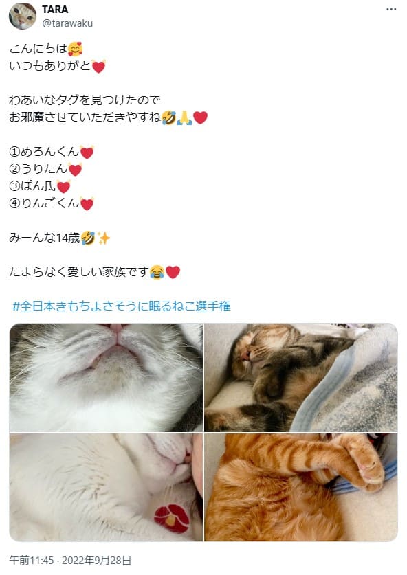 tarakoの愛猫に関する投稿