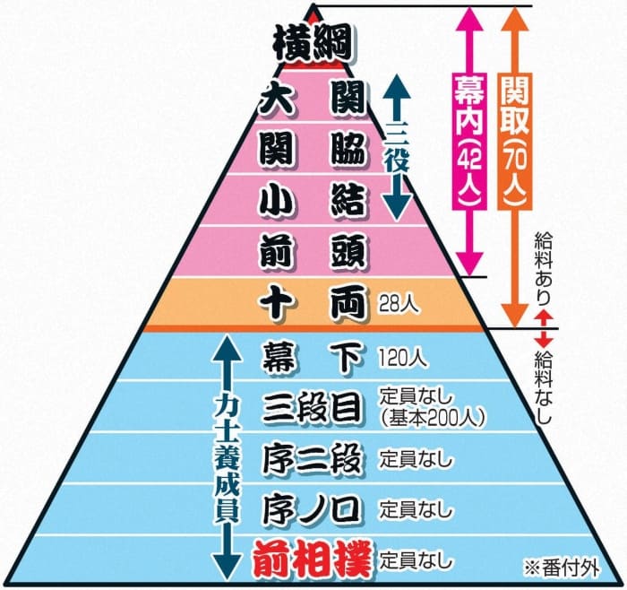 若元春関　相撲の階級図